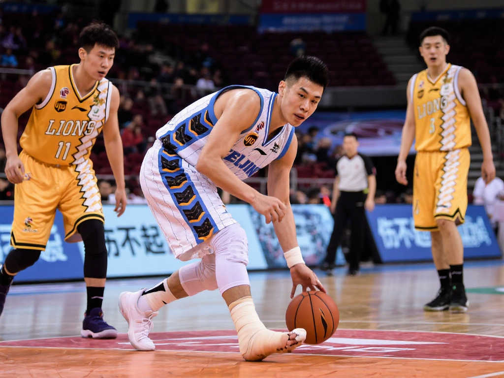 职业生涯的 职业生涯的